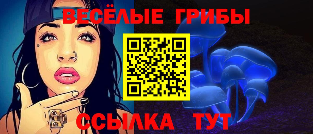 где купить   Галлюциногенные грибы прущие грибы  Галлюциногенные грибы ЛСД  Вход с VPN  Светлоград 